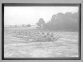 Training...1917