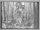 [Foreman directing workers at a cypress lumber camp, Florida]