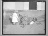 [Harriet Rich Feeding Chickens]
