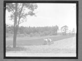 Rural work