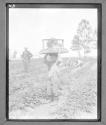[Berry pickers, Seaford, Delaware]