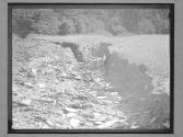 [River Bed]