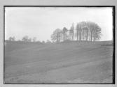 Castle Hill Kineton