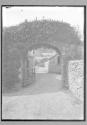 Nicholas Snow's farmyard