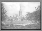 Salisbury Cathedral Showing Palace