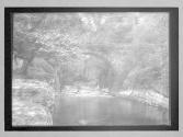 Fairy Bridge 5