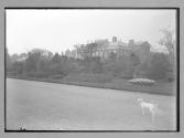 Kensington Palace