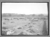 Roman Wall Forum Camp at Walwick Chesters