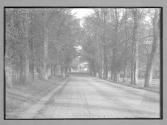 Avenue South Mimms