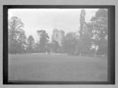 Whitchurch From Meadow