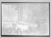 [Horses & Carriages]