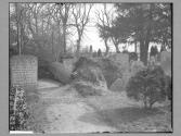 Effect Of The '95 Gale In Trinity Churchyard