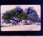 [Untitled]