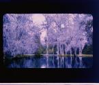 [Untitled]
