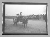 [ox pulling wagon with people]