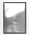 [auto driving on country road "NY38773"]