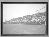 [spectator stands at racetrack]