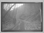 [man walking on country road]