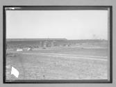 [race grounds]