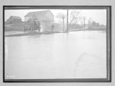 [auto diving by flooded area]