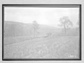 [auto driving on country road]