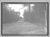 [Prison laborers working on country road]