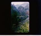 [Untitled]