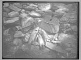 Bass & basket, 1882