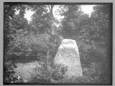 Tomb of Jean Louis Rodolphe Agassiz, Boston, 1882
