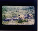 [Untitled]