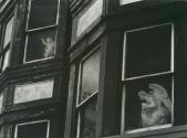 Angels, Philadelphia