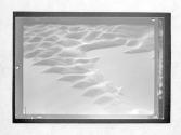 [Sand Ripples]