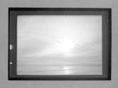 A(crossed out) Gull(s) (19)35