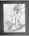 Invictus-From Original Neg. (19)26