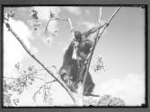 [Untitled]