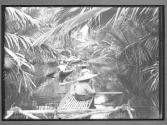 [Untitled]