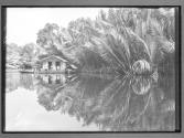 [Untitled]