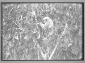 [Untitled]
