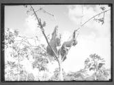 [Untitled]