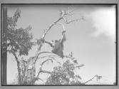 [Untitled]