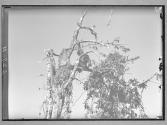 [Untitled]
