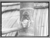 [Untitled]