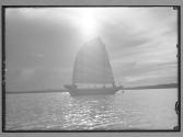 [Untitled]