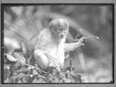 [Untitled]