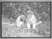 [Untitled]