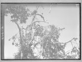 [Untitled]