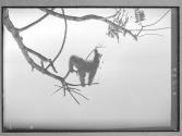 [Untitled]