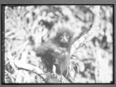 [Untitled]