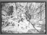 [Untitled]