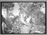 [Untitled]